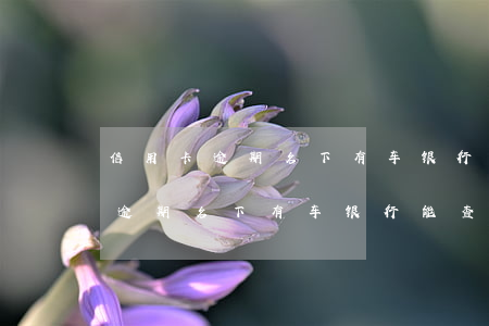 信用卡逾期名下有车银行能查到吗-信用卡逾期名下有车银行能查到吗