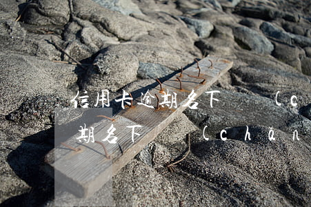 信用卡逾期名下資產(chǎn)(信用卡逾期名下資產(chǎn))