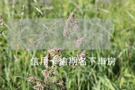 信用卡逾期名下車房