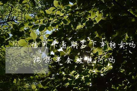 信用卡逾期名下车能卖吗(信用卡逾期名下有按揭车会被执行吗)