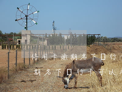 信用卡逾期名下銀行卡可以用么-信用卡逾期名下銀行卡可以用么嗎