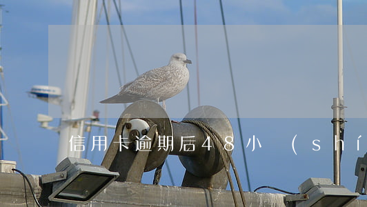 信用卡逾期后48小時(shí)解凍