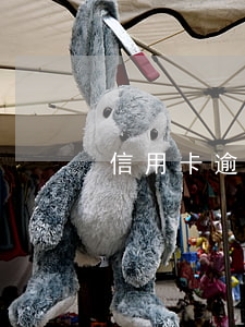 信用卡逾期后5年能變成白戶嗎