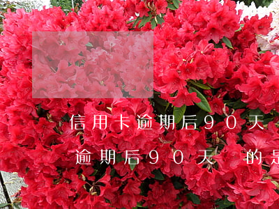 信用卡逾期后90天還的是本金嗎-信用卡逾期后90天還的是本金嗎怎么辦