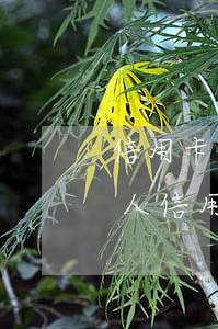 信用卡逾期后App更改聯(lián)系人(信用卡app可以更換手機(jī)號(hào)碼)