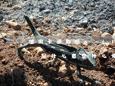 信用卡逾期后a類(lèi)b類(lèi)是什么意思(什么情況下屬于信用卡逾期)