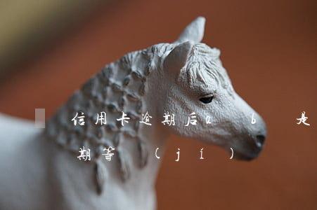 信用卡逾期后a類b類是什么意思-信用逾期等級(jí)