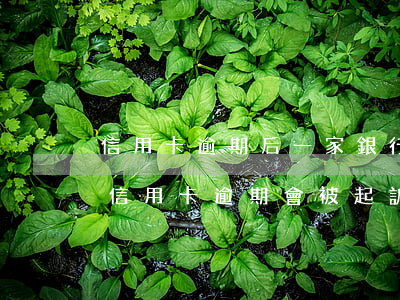 信用卡逾期后一家銀行會起訴嗎(什么情況下信用卡逾期會被起訴)