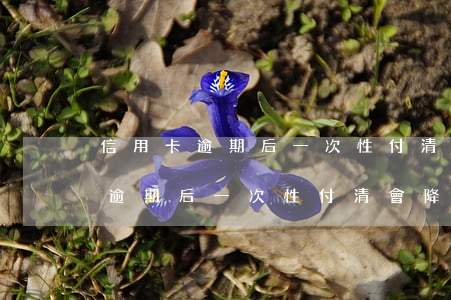 信用卡逾期后一次性付清會降額嗎-信用卡逾期后一次性付清會降額嗎知乎