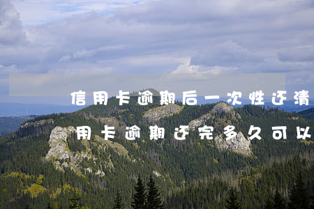 信用卡逾期后一次性还清程序(2018年信用卡逾期还完多久可以再次申请)