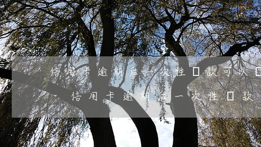 信用卡逾期后一次性還款可以減免多少費用-信用卡逾期后一次性還款可以減免多少費用呢