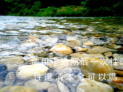 信用卡逾期后一次性還清(信用卡逾期后一次性還清本金可以嗎)