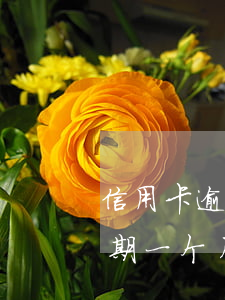 信用卡逾期后一次还完怎么减免(我信用卡逾期一个月,还了之后还能用吗)