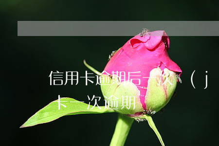 信用卡逾期后一次進(jìn)一次出(信用卡 一次逾期)