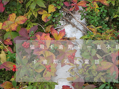 信用卡逾期后一直不接電話怎么辦-欠信用卡逾期不接電話