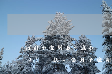 信用卡逾期后一直在斷斷續(xù)續(xù)還款-信用卡逾期后一直在斷斷續(xù)續(xù)還款會(huì)怎么樣