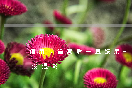 信用卡逾期后一直沒用-有沒有信用卡逾期沒還的