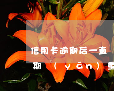 信用卡逾期后一直還最低額(低額度信用卡逾期嚴(yán)重嗎)
