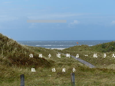 信用卡逾期后一般多久會開卡-逾期多久才能辦信用卡