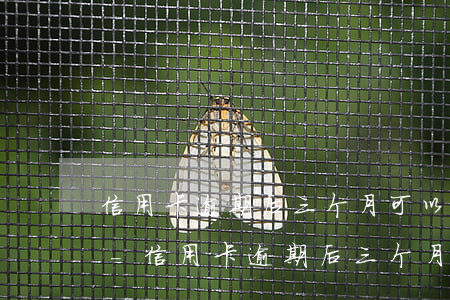 信用卡逾期后三个月可以重新申请信用卡吗-信用卡逾期后三个月可以重新申请信用卡吗
