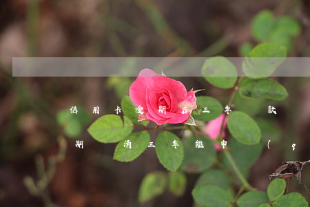 信用卡逾期后三年還款會(huì)怎樣(逾期還清三年能申請(qǐng)信用卡嗎)