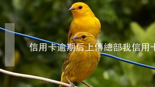 信用卡逾期后上傳總部(我信用卡逾期)