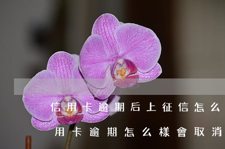 信用卡逾期后上征信怎么修改(征信上面的信用卡逾期怎么樣會取消)