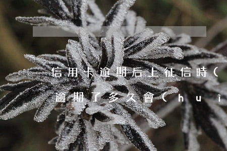 信用卡逾期后上征信時(shí)間(信用卡逾期了多久會(huì)上征信)