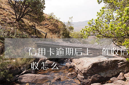 信用卡逾期后上門催收(信用卡逾期后上門催收怎么辦)