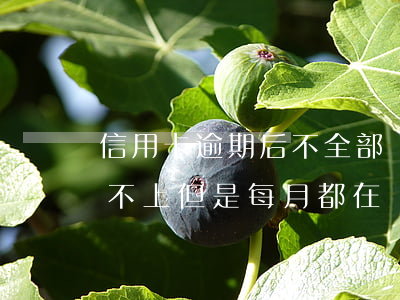 信用卡逾期后不全部還款(信用卡逾期全款還不上但是每月都在還點)