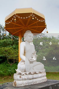 信用卡逾期后不发账单了(信用卡不发账单了是怎么回事)