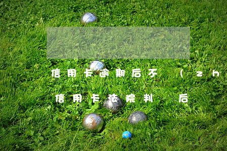 信用卡逾期后不執(zhí)行法院判決(欠信用卡法院判決后會執(zhí)行嗎)