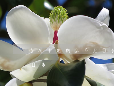 信用卡逾期后不定時存進去(行用卡逾期幾天沒事)