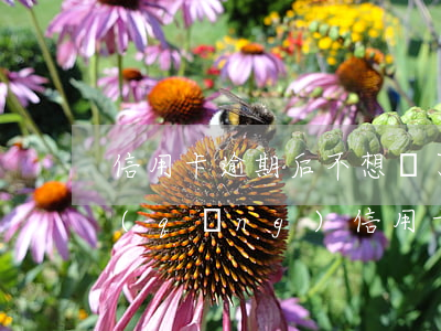 信用卡逾期后不想還了(逾期之后就不能申請(qǐng)信用卡了嗎)