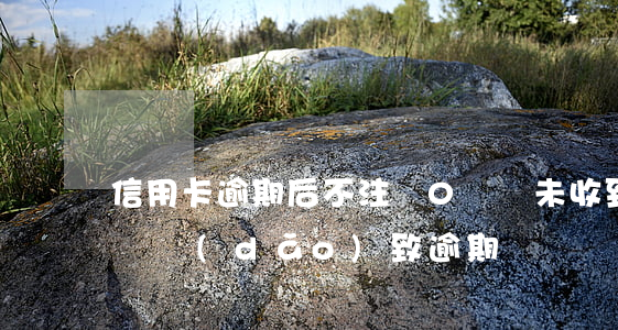 信用卡逾期后不注銷0賬單(未收到信用卡賬單導(dǎo)致逾期)