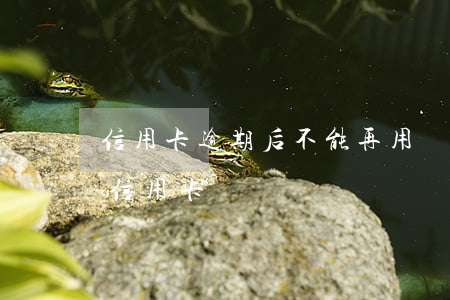 信用卡逾期后不能再用嗎 逾期了還能不能辦信用卡