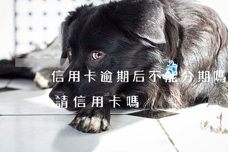 信用卡逾期后不能分期嗎(分期樂逾期可以申請信用卡嗎)