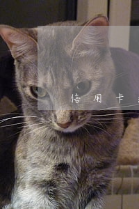信用卡逾期后不能分期怎么辦 信用卡分期