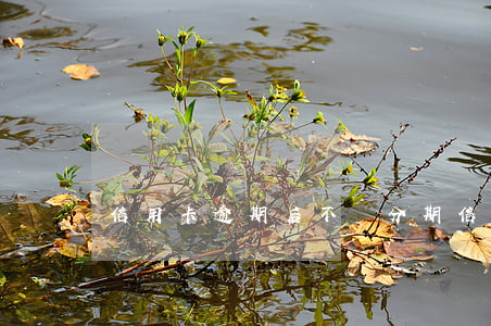信用卡逾期后不讓分期(信用卡 逾期 分期)