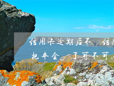 信用卡逾期后不還(信用卡逾期后不還利息了把本金還了可不可以)