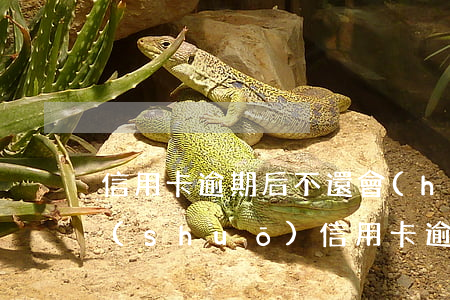 信用卡逾期后不還會(huì)怎樣(如果說(shuō)信用卡逾期會(huì)怎么樣)