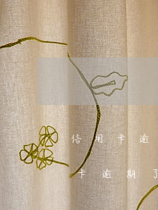 信用卡逾期后不還會怎么樣(本人不在了信用卡逾期了要不要還款)