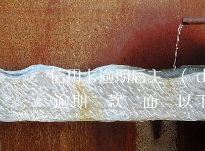 信用卡逾期后主動(dòng)還款(信用卡逾期還款將面臨以下后果)