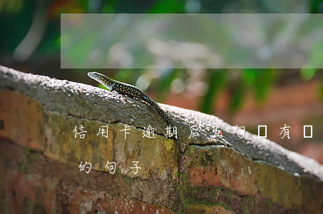 信用卡逾期后五句話(有關(guān)逾期的句子)