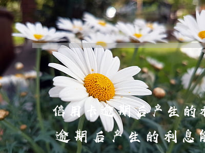 信用卡逾期后产生的利息能减免吗-信用卡逾期后产生的利息能减免吗怎么办