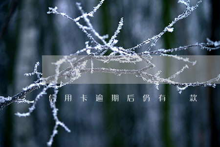 信用卡逾期后仍有還款