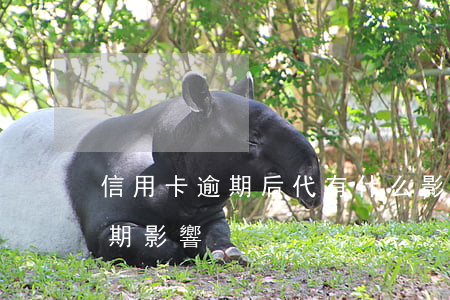 信用卡逾期后代有什么影響(信用卡 曾經有逾期 影響)