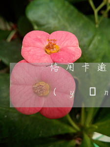 信用卡逾期后以貸養(yǎng)貸(以貸養(yǎng)貸不逾期)