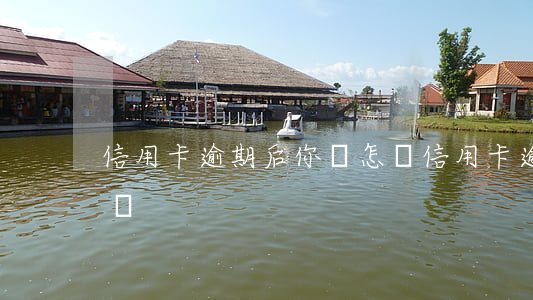 信用卡逾期后你會怎樣(信用卡逾期后你會怎樣)