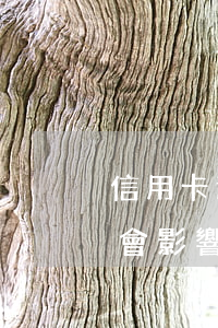 信用卡逾期后來還了(信用卡逾期后來還了,還會影響以后夫妻買房嗎)